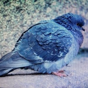 Meet your Posher, Katelynn